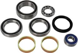 All Balls Drive Shaft Chain Case Bearing and Seal Kit