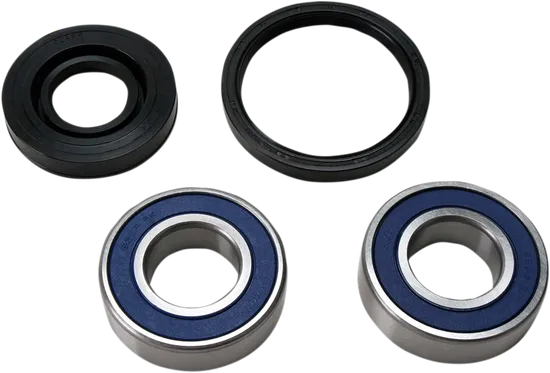 All Balls Chain Case Bearing and Seal Kit