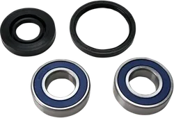 All Balls Chain Case Bearing and Seal Kit