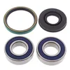 All Balls Chain Case Bearing and Seal Kit