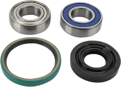 All Balls Chain Case Bearing and Seal Kit
