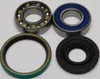 All Balls Chain Case Bearing and Seal Kit