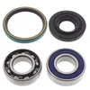 All Balls Chain Case Bearing and Seal Kit