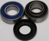 All Balls Chain Case Bearing and Seal Kit