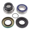 All Balls Chain Case Bearing and Seal Kit