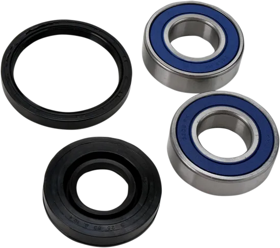 All Balls Chain Case Bearing and Seal Kit