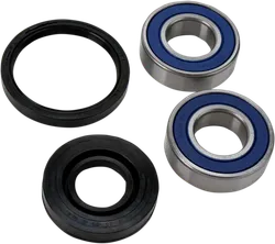 All Balls Chain Case Bearing and Seal Kit