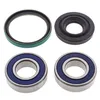 All Balls Chain Case Bearing and Seal Kit