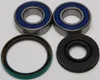 All Balls Chain Case Bearing and Seal Kit