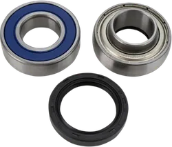 All Balls Chain Case Bearing and Seal Kit
