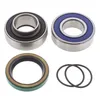 All Balls Chain Case Bearing and Seal Kit