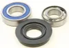 All Balls Chain Case Bearing and Seal Kit