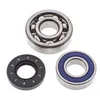 All Balls Chain Case Bearing and Seal Kit