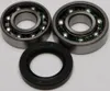 Chain Case Bearing and Seal Kit