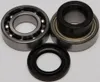 All Balls Chain Case Bearing and Seal Kit
