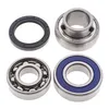 All Balls Chain Case Bearing and Seal Kit