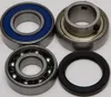 All Balls Chain Case Bearing and Seal Kit