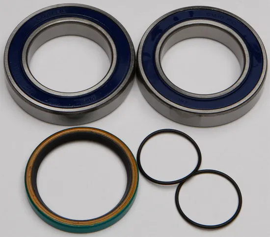 All Balls Chain Case Bearing and Seal Kit