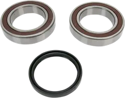All Balls Chain Case Bearing and Seal Kit
