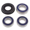All Balls Chain Case Bearing and Seal Kit