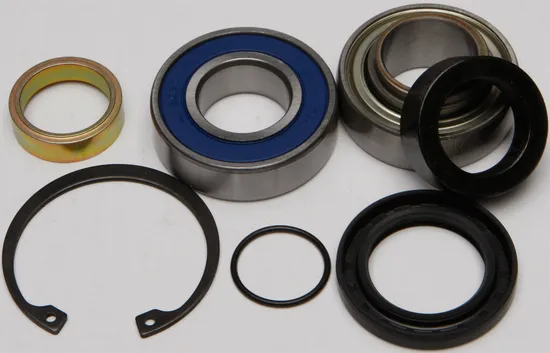 All Balls Chain Case Bearing and Seal Kit