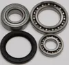All Balls Chain Case Bearing and Seal Kit