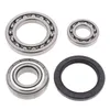 All Balls Chain Case Bearing and Seal Kit