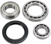 All Balls Chain Case Bearing and Seal Kit