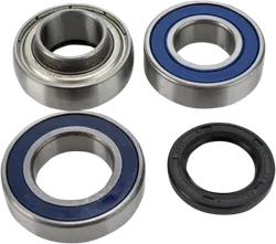 All Balls Chain Case Bearing and Seal Kit