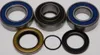 All Balls Chain Case Bearing and Seal Kit