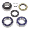 All Balls Chain Case Bearing and Seal Kit