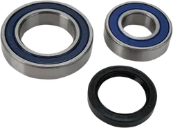 All Balls Chain Case Bearing and Seal Kit