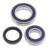 All Balls Chain Case Bearing and Seal Kit