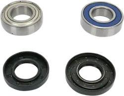 All Balls Chain Case Bearing and Seal Kit