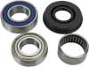 All Balls Chain Case Bearing and Seal Kit
