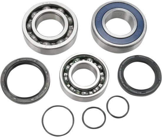 All Balls Chain Case Bearing and Seal Kit