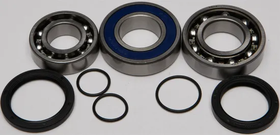 All Balls Chain Case Bearing and Seal Kit