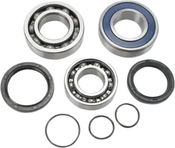 All Balls Chain Case Bearing and Seal Kit