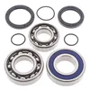All Balls Chain Case Bearing and Seal Kit