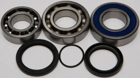 All Balls Chain Case Bearing and Seal Kit