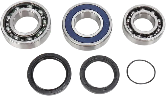 All Balls Chain Case Bearing and Seal Kit