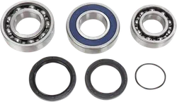 All Balls Chain Case Bearing and Seal Kit