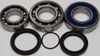 All Balls Chain Case Bearing and Seal Kit