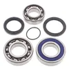 All Balls Chain Case Bearing and Seal Kit