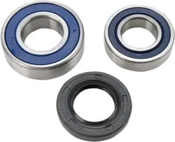 All Balls Chain Case Bearing and Seal Kit