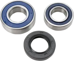 All Balls Chain Case Bearing and Seal Kit