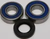 All Balls Chain Case Bearing and Seal Kit