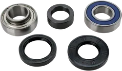 All Balls Chain Case Bearing and Seal Kit