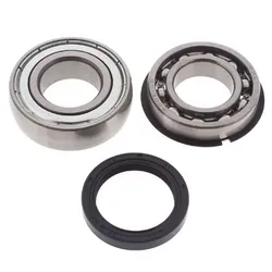 All Balls Chain Case Bearing and Seal Kit