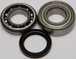 All Balls Chain Case Bearing and Seal Kit
